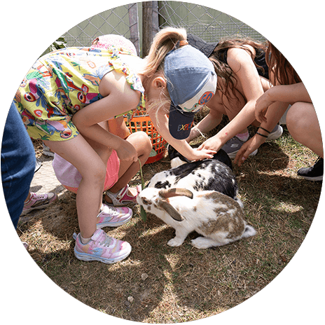 Caresser des lapins pour les enfants lors de, l'événement du jubilé pour les collaborateurs